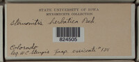 Image Associated With the Occurence